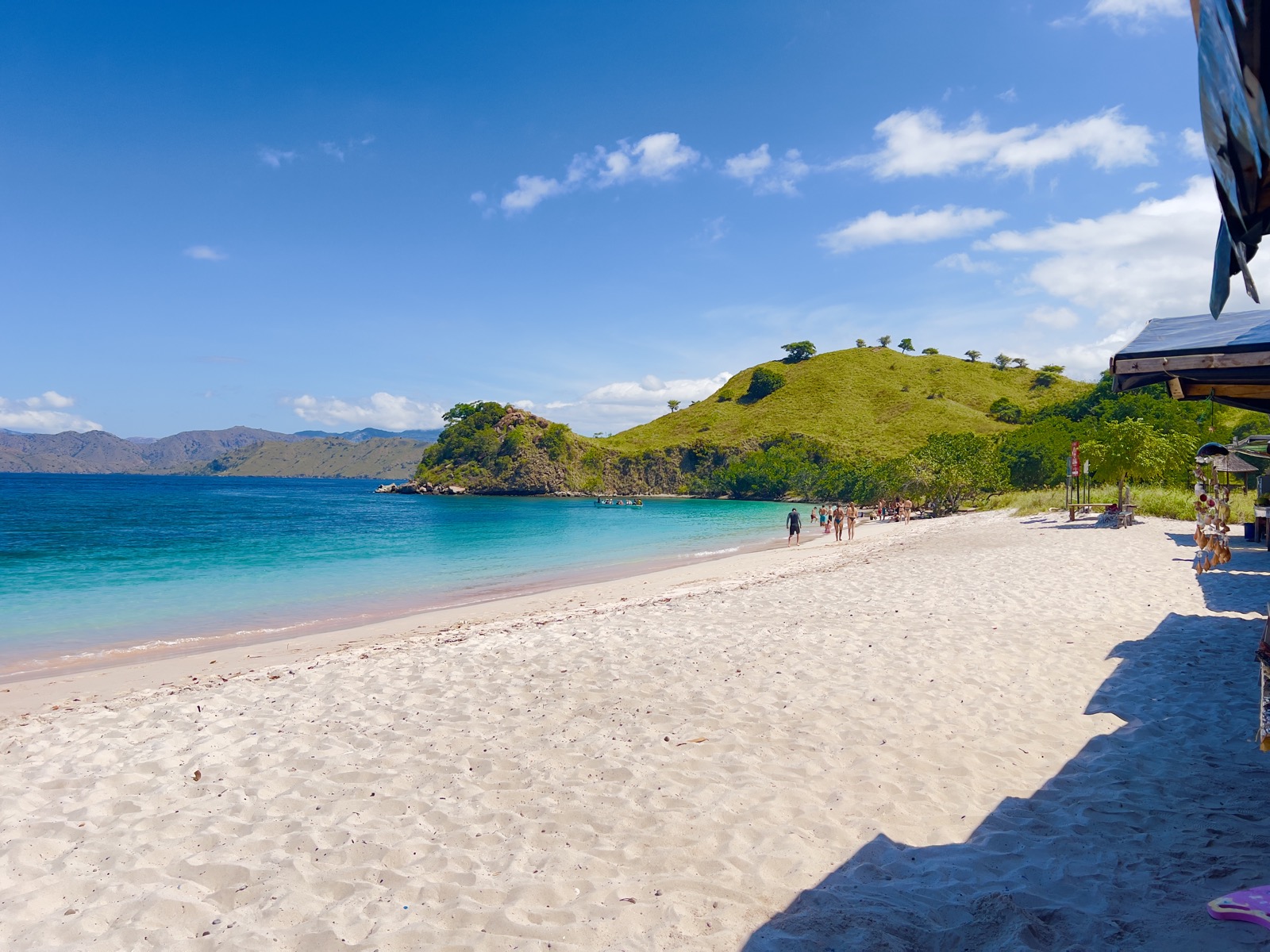Pantai Merah di Pulau Komodo, hamparan pasir merah muda dengan laut biru jernih dan bukit hijau di latar belakang